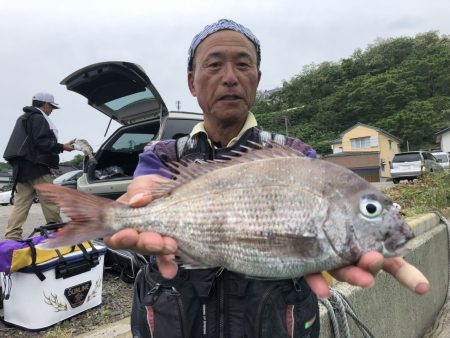 由良渡船 釣果