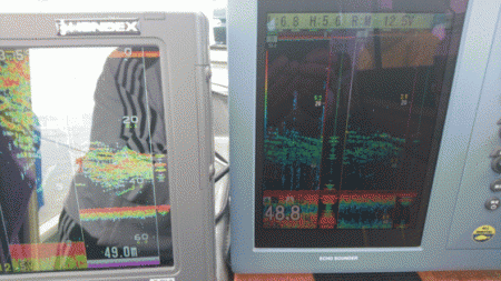 遊漁船ブルーウッズ 釣果