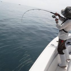 BlueNote Fishing Taxi 釣果