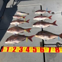 遊漁船高橋 釣果