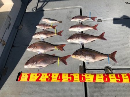 遊漁船高橋 釣果