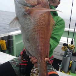 遊漁船 新鋭丸 釣果