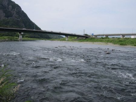 狩野川(狩野川漁業協同組合) 釣果