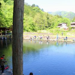 小菅トラウトガーデン 釣果