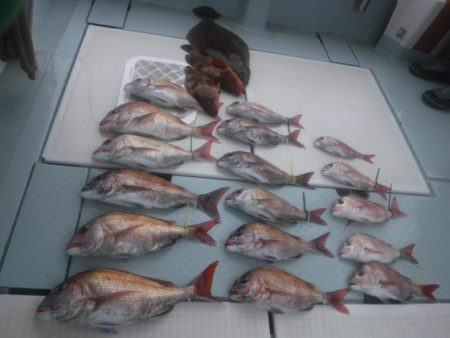 遊漁船 幸友丸 釣果