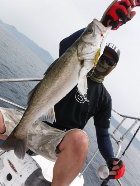 ＢｌｕｅＮｏｔｅ　Ｆｉｓｈｉｎｇ　Ｔａｘｉ 釣果