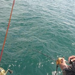 Fisherman Dreams DI 釣果