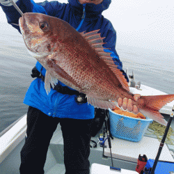 遊漁船ブルーウッズ 釣果