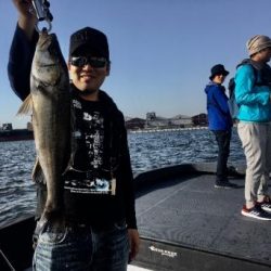 シーマジカル 釣果