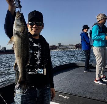 シーマジカル 釣果