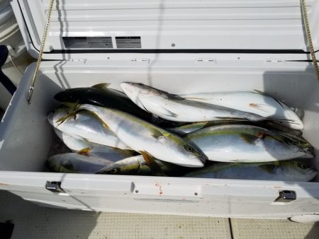 遊漁船 ニライカナイ 釣果