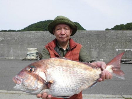 大進丸(新潟) 釣果