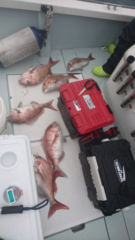 遊漁船ブルーウッズ 釣果