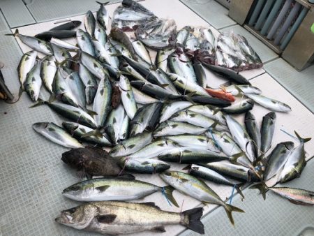 ふじしめ丸 釣果