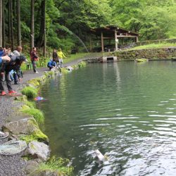 小菅トラウトガーデン 釣果