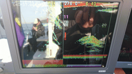 遊漁船ブルーウッズ 釣果