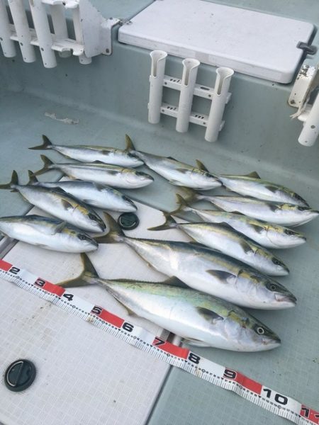 スカイマリン 釣果