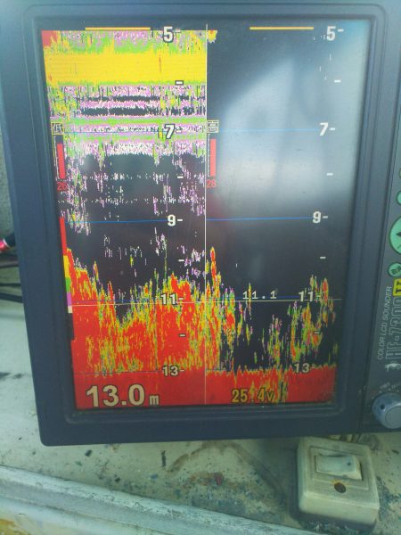 深川　吉野屋 釣果