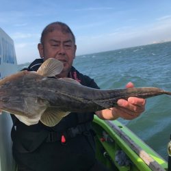 深川　吉野屋 釣果
