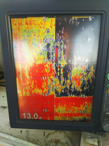 深川　吉野屋 釣果