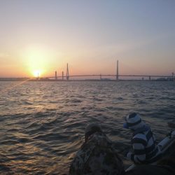 深川　吉野屋 釣果