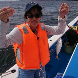 深川 吉野屋 釣果