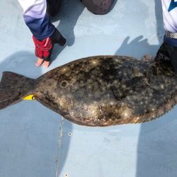 深川 吉野屋 釣果