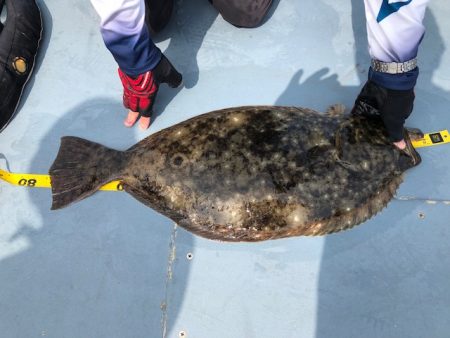 深川 吉野屋 釣果