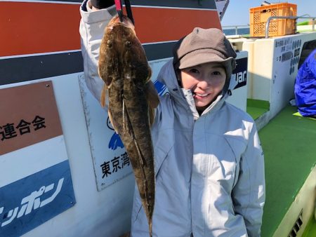 深川 吉野屋 釣果