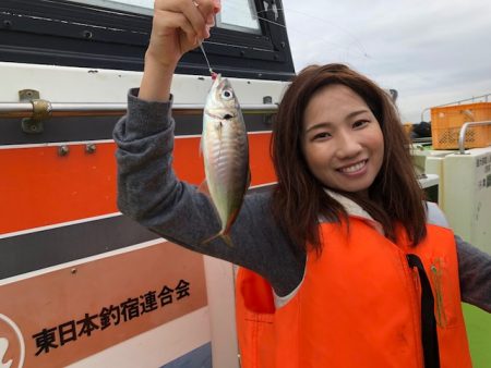 深川 吉野屋 釣果