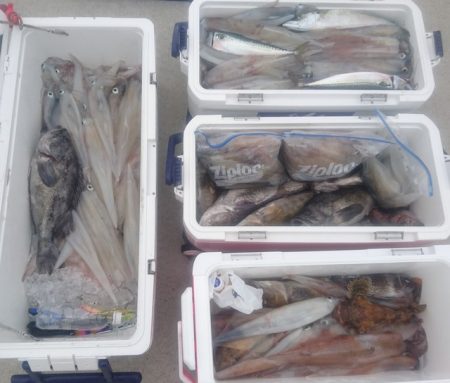 気仙沼　つり丸 釣果