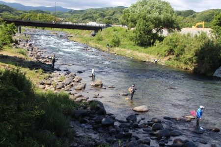 狩野川（狩野川漁業協同組合） 釣果
