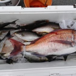 第二大福丸 釣果