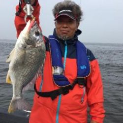 シーマジカル 釣果