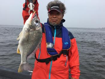 シーマジカル 釣果