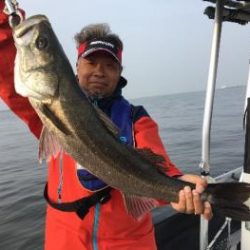 シーマジカル 釣果