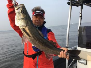 シーマジカル 釣果