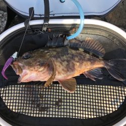 神戸ガシリング2