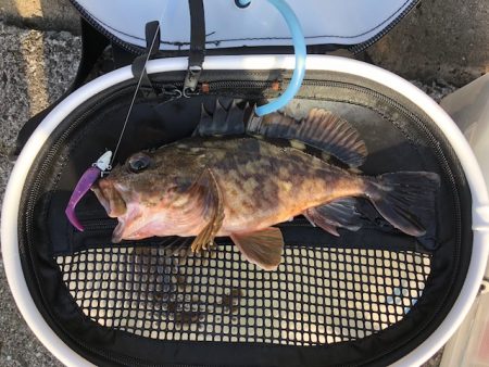 神戸ガシリング2