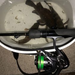 二見メバリング5