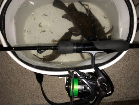 二見メバリング5