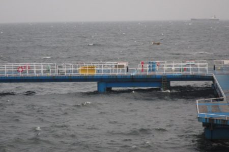 オリジナルメーカー海づり公園(市原市海づり施設) 釣果
