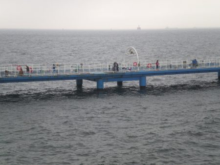 オリジナルメーカー海づり公園(市原市海づり施設) 釣果