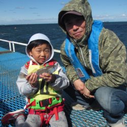 オリジナルメーカー海づり公園(市原市海づり施設) 釣果