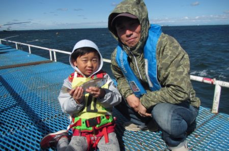 オリジナルメーカー海づり公園(市原市海づり施設) 釣果