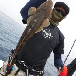 ＢｌｕｅＮｏｔｅ　Ｆｉｓｈｉｎｇ　Ｔａｘｉ 釣果