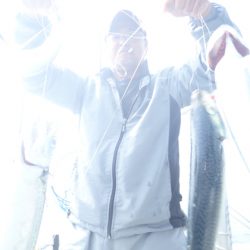 美里丸 釣果