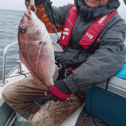 遊漁船ブルーウッズ 釣果