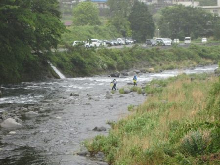 狩野川（狩野川漁業協同組合） 釣果