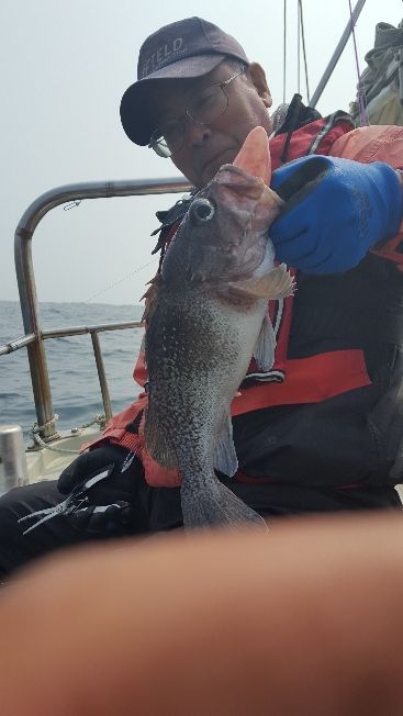 海峰 釣果
